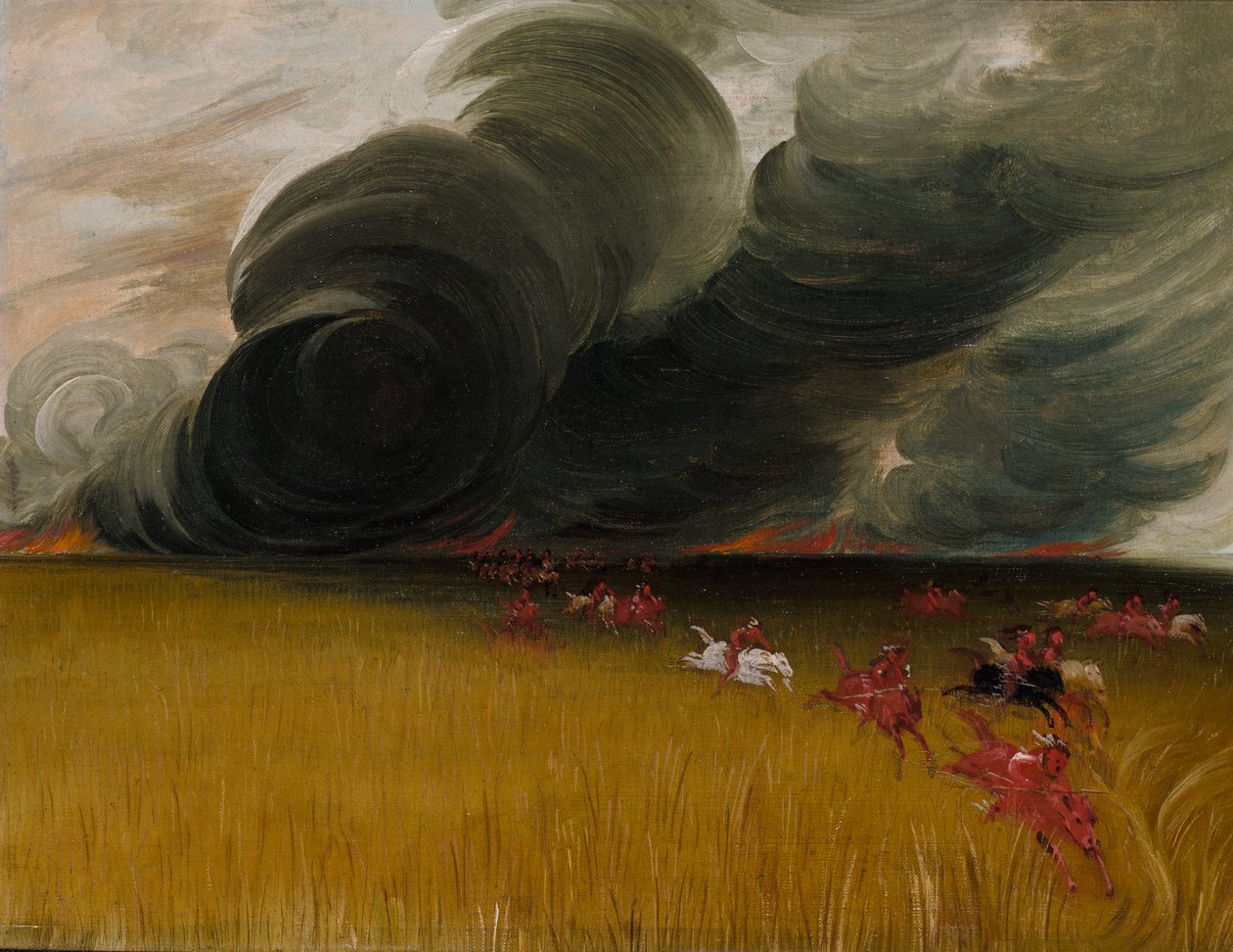 Floresta. de George Catlin