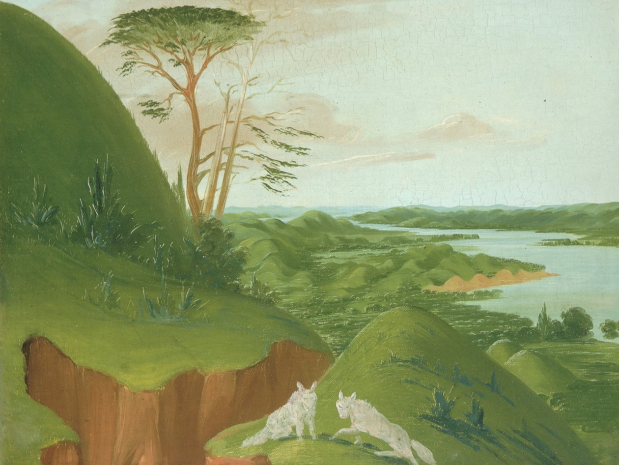 Penhascos ribeirinhos com lobos brancos em primeiro plano, no curso superior do rio Missouri de George Catlin