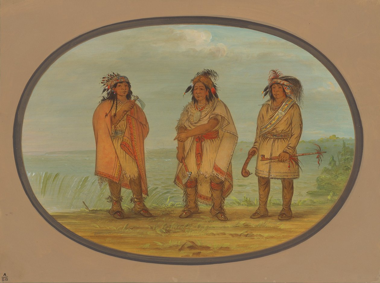 Floresta. de George Catlin