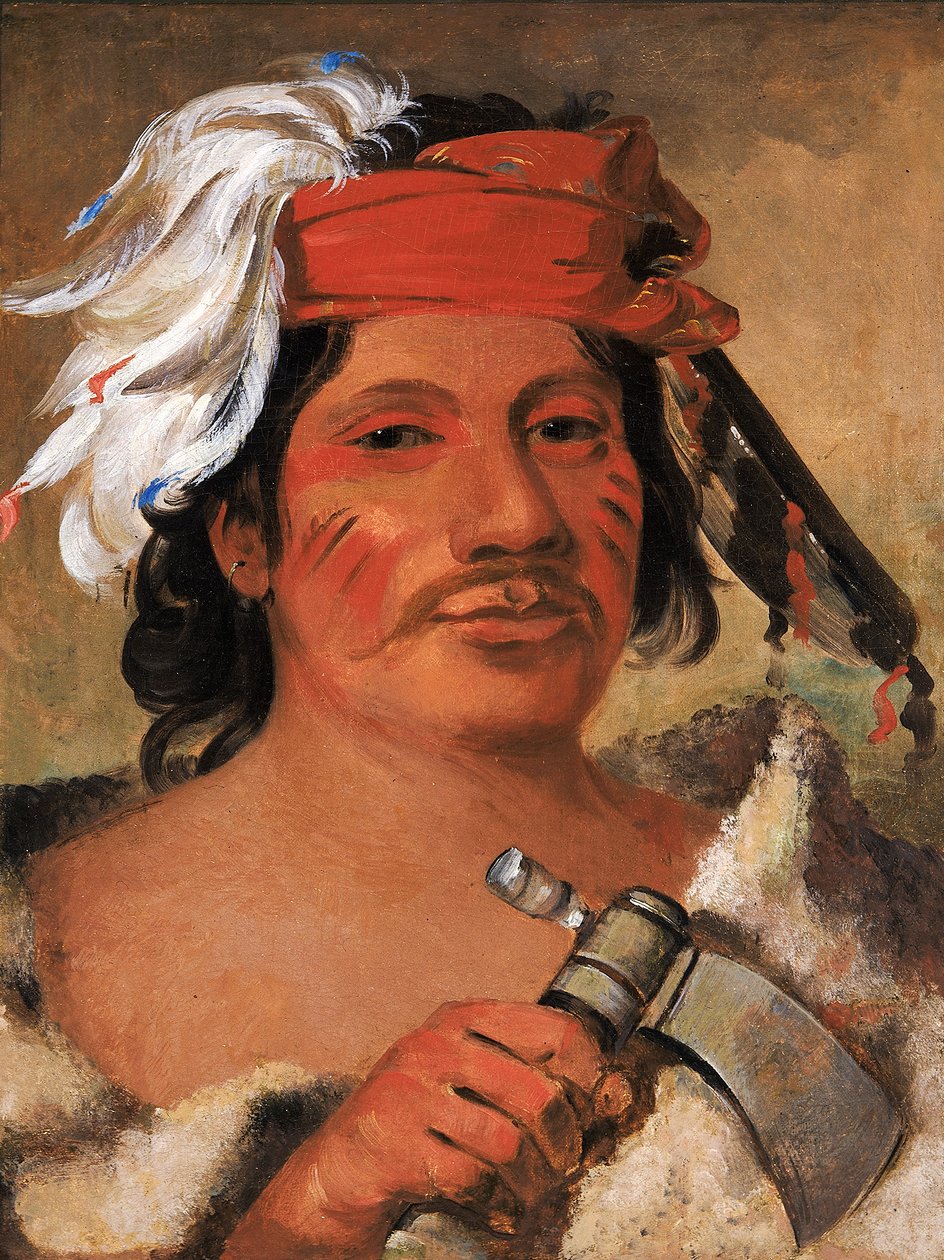 Floresta. de George Catlin