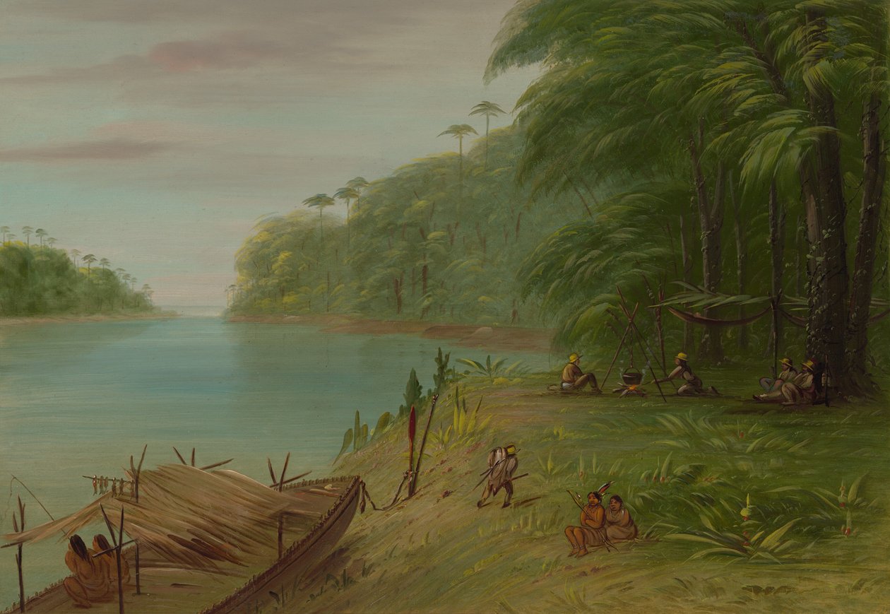 Floresta. de George Catlin
