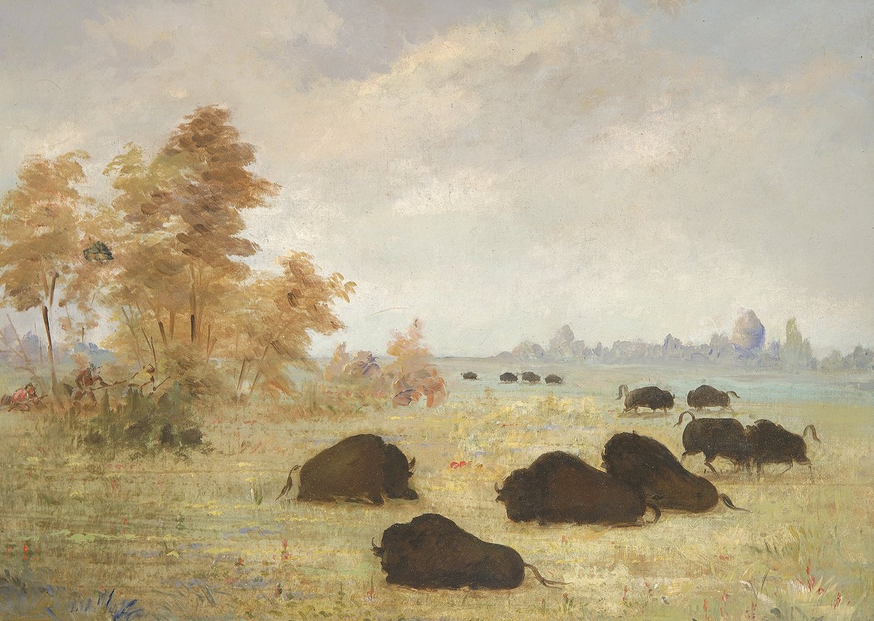 Perseguição de Buffalo, Arkansas de George Catlin