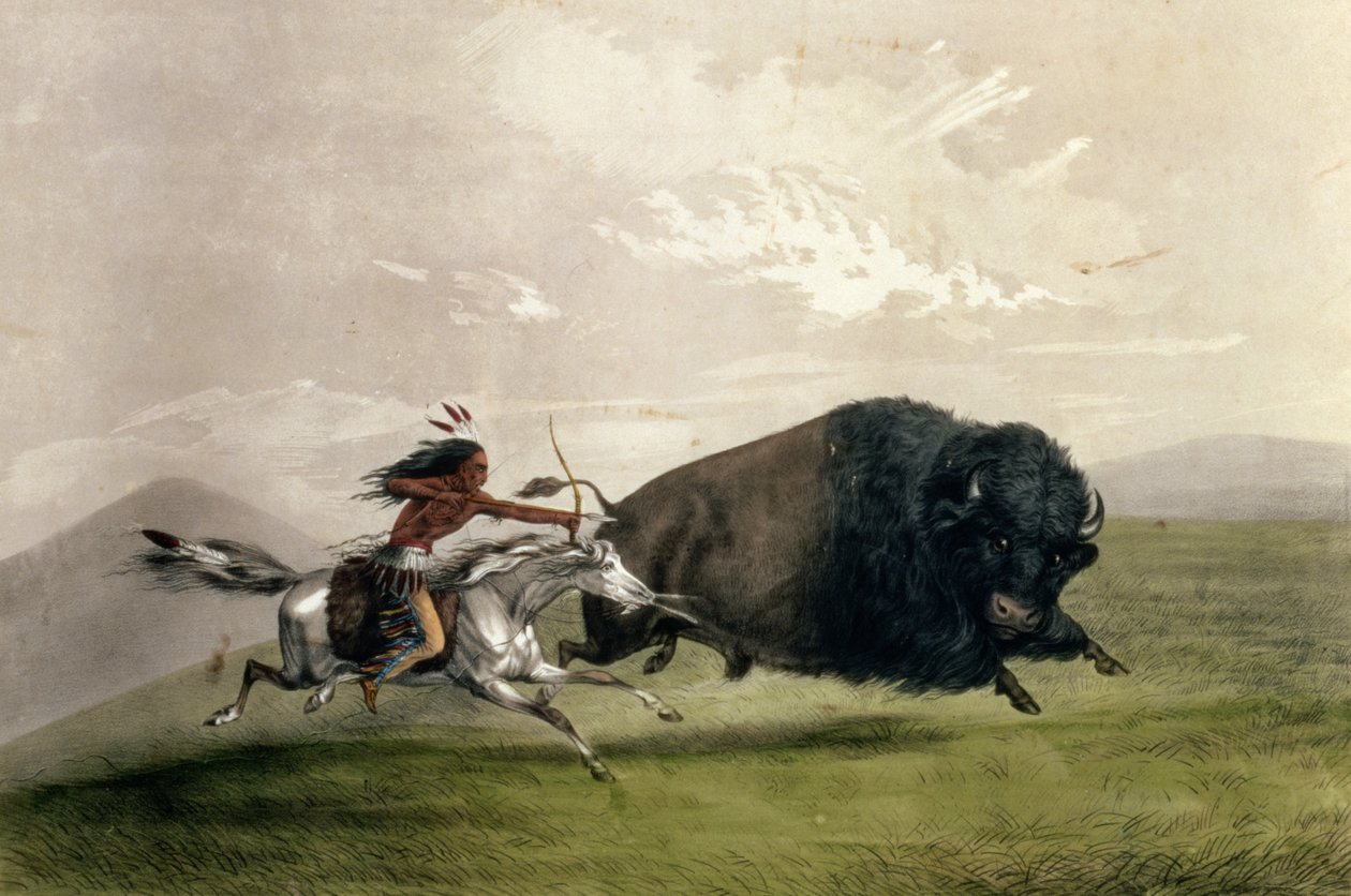 O Buffalo Chase "Singling Out", pub. por Currier e Ives de George Catlin