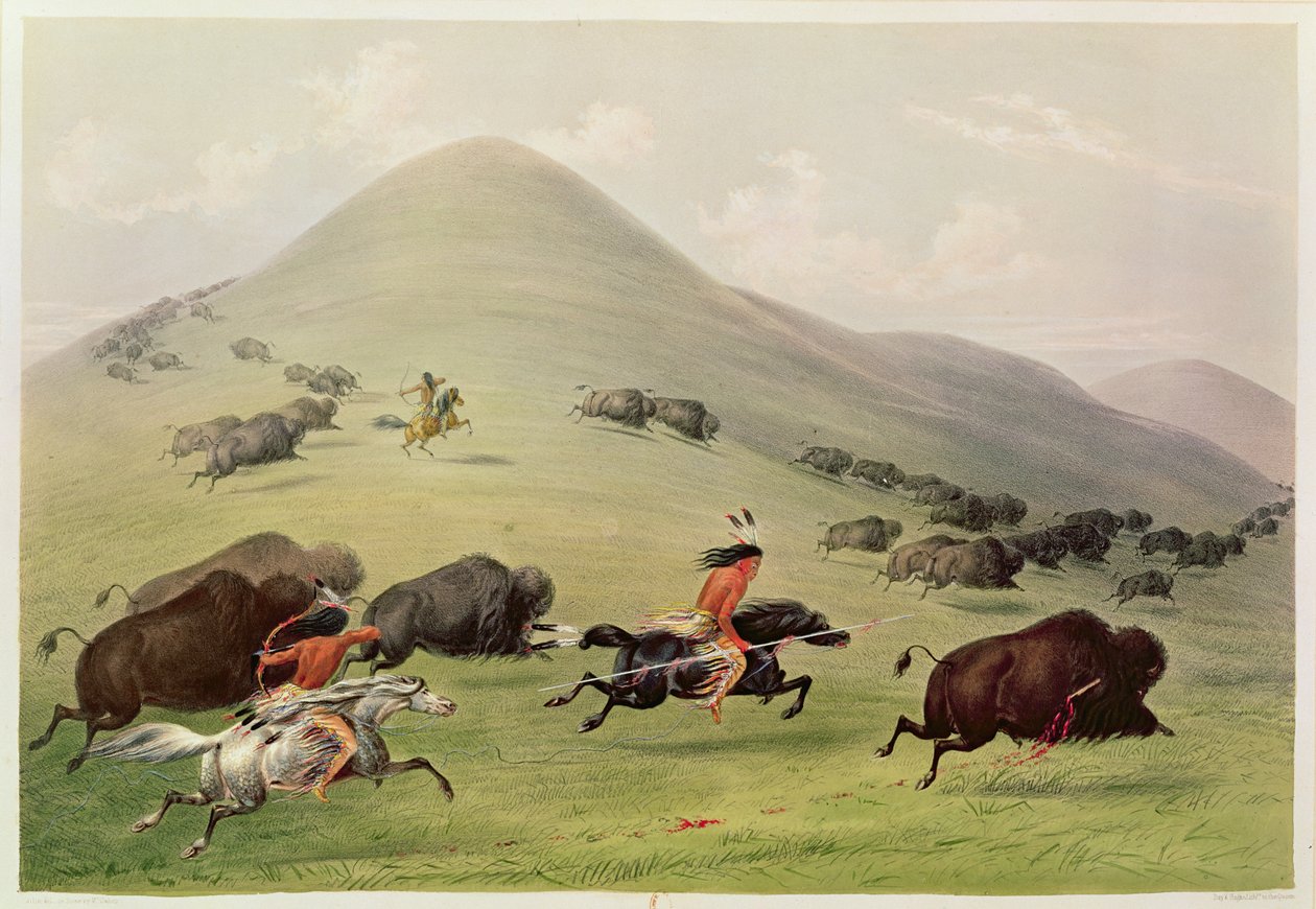 A caça ao búfalo, c.1832 de George Catlin