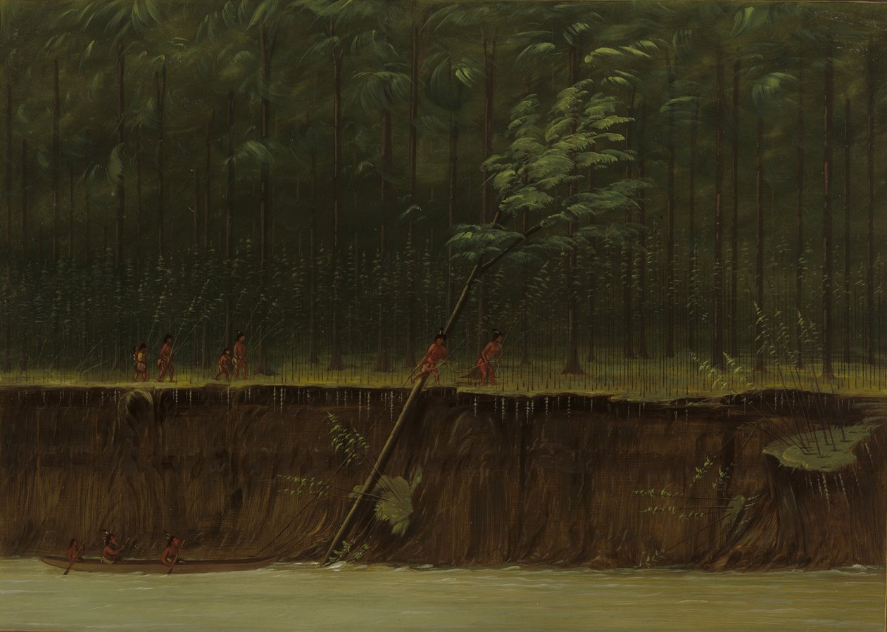 Vista do Baixo Mississippi, 18611869. de George Catlin