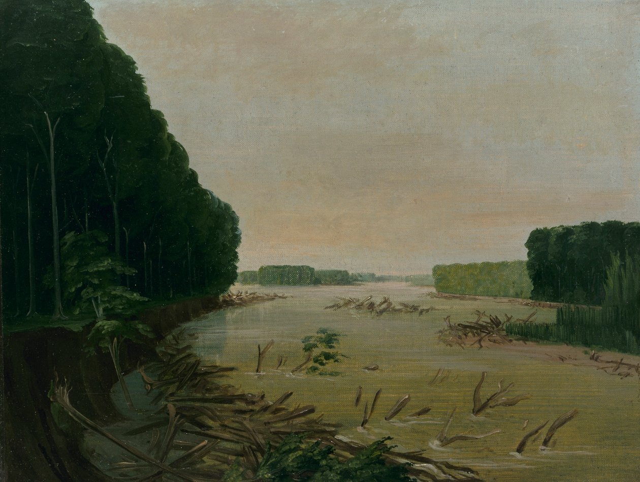 Vista do Missouri, bancos aluviais caindo, 600 milhas acima de St. Louis de George Catlin