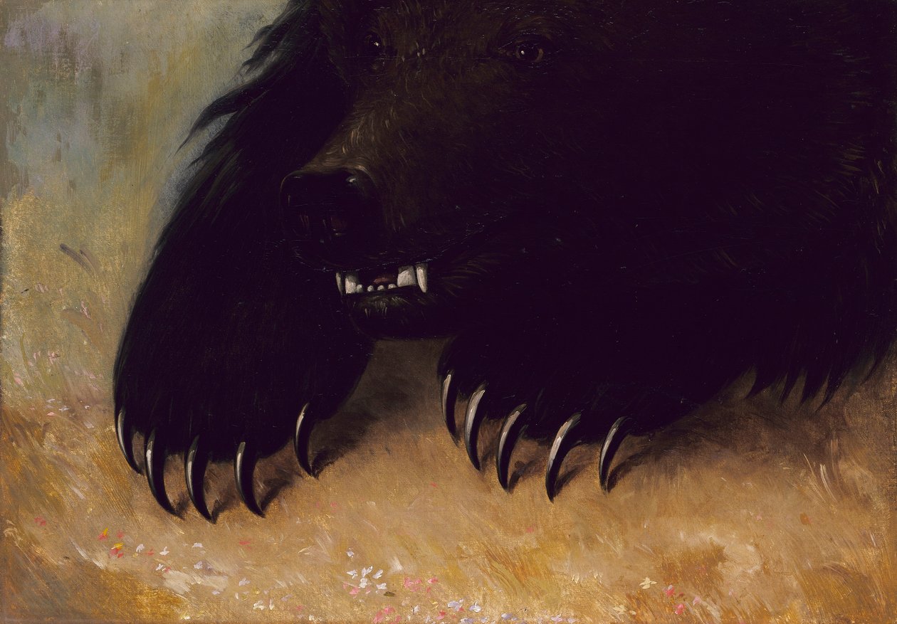 Armas e fisionomia do urso-pardo de George Catlin