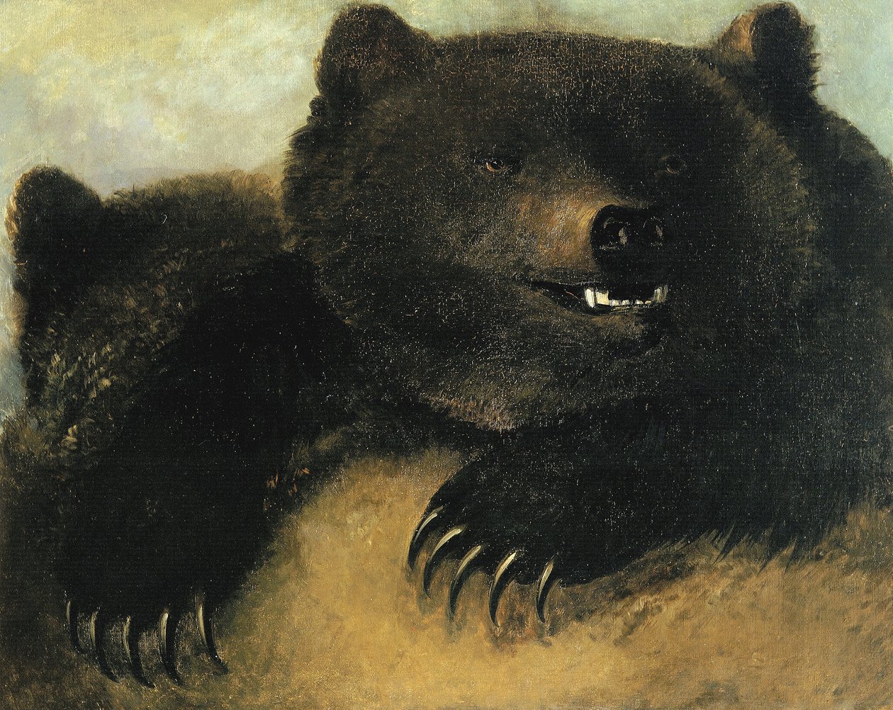 Armas e fisionomia do urso-pardo de George Catlin