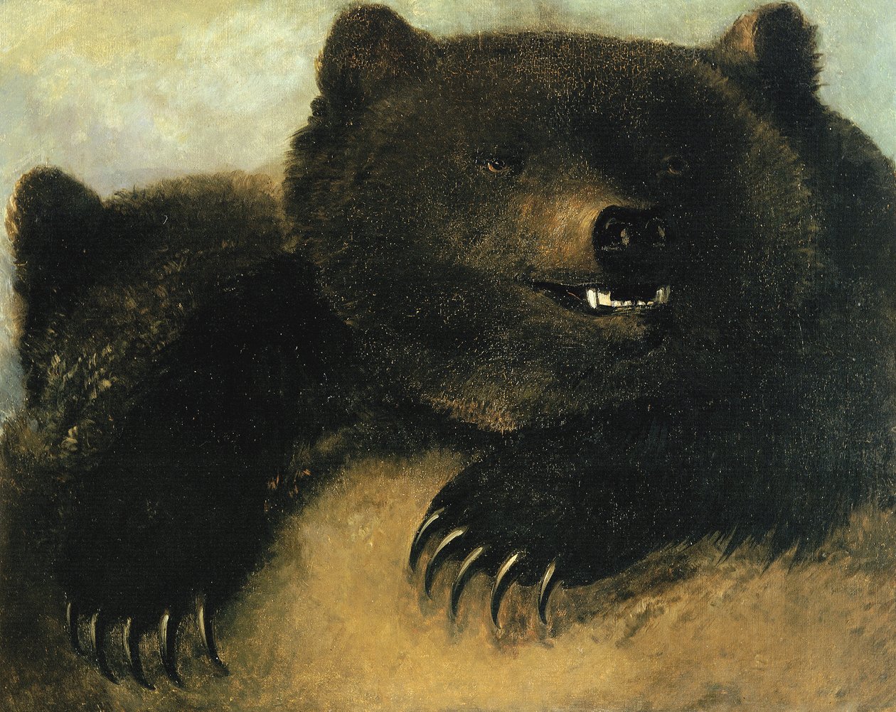 Armas e Fisionomia do Urso Pardo, 1846-1848. de George Catlin