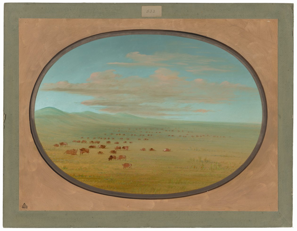 Gado selvagem pastando na Pampa del Sacramento de George Catlin