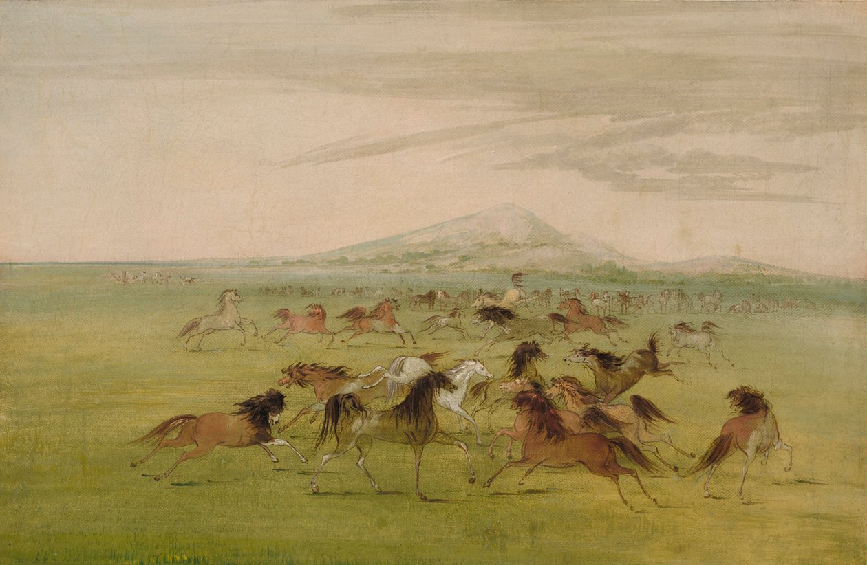 Cavalos selvagens a brincar de George Catlin