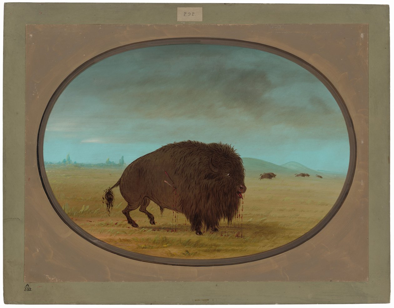 Touro Búfalo Ferido de George Catlin