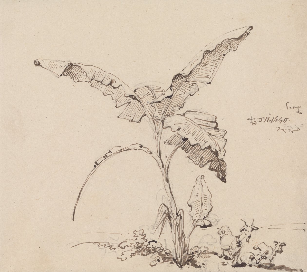 Cabras sob uma bananeira de George Chinnery