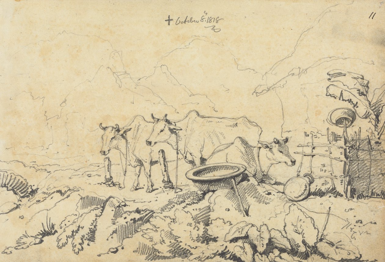 Três Vacas Amarradas de George Chinnery