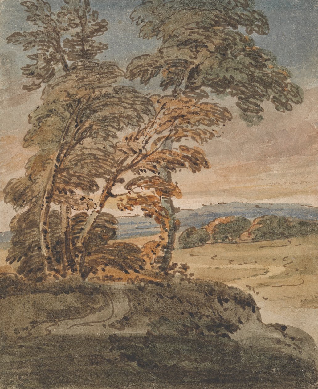 Árvores num Caminho da Colina de George Chinnery