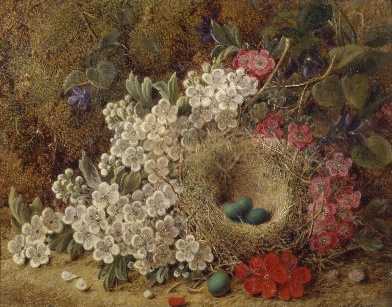 Um ninho de pássaros e florescer em um banco de musgo (óleo) de George Clare