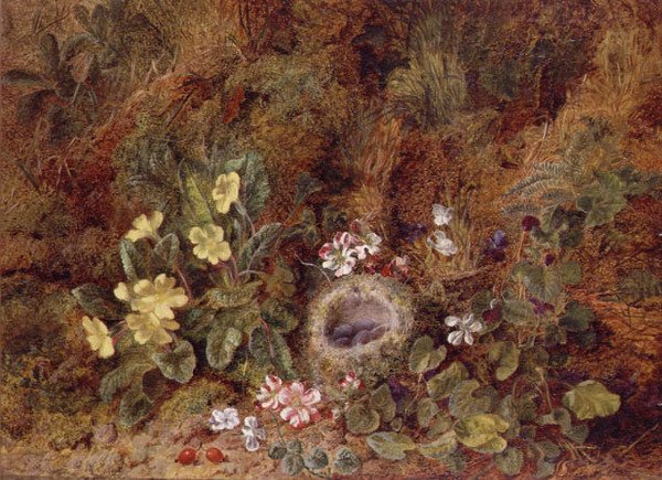 Natureza Morta com Ninho de Ave e Flores Selvagens de George Clare