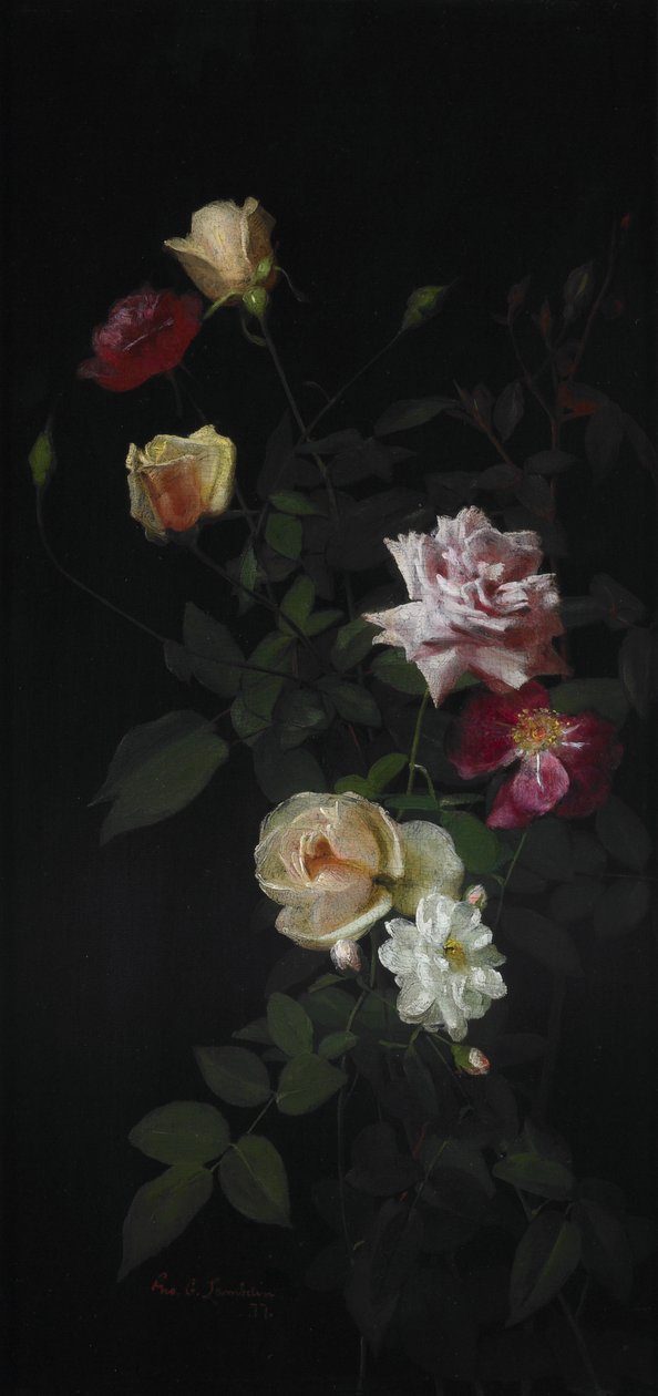 Natureza morta de George Cochran Lambdin