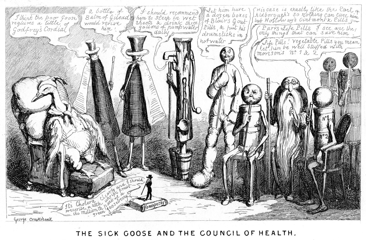O ganso doente e o Conselho de saúde, século XIX de George Cruikshank