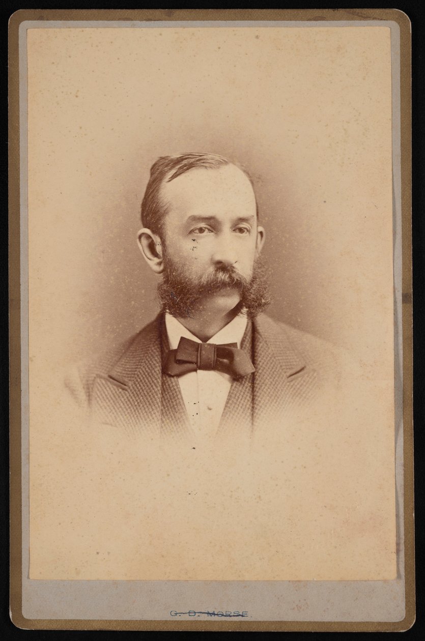 Retrato de Daniel Coit Gilman 1831-1908, cerca de 1875. de George Daniels Morse