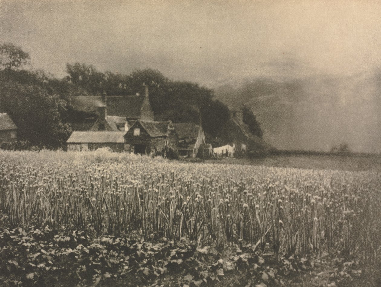 Trabalho de Câmera: O Campo da Cebola - 1890 de George Davison