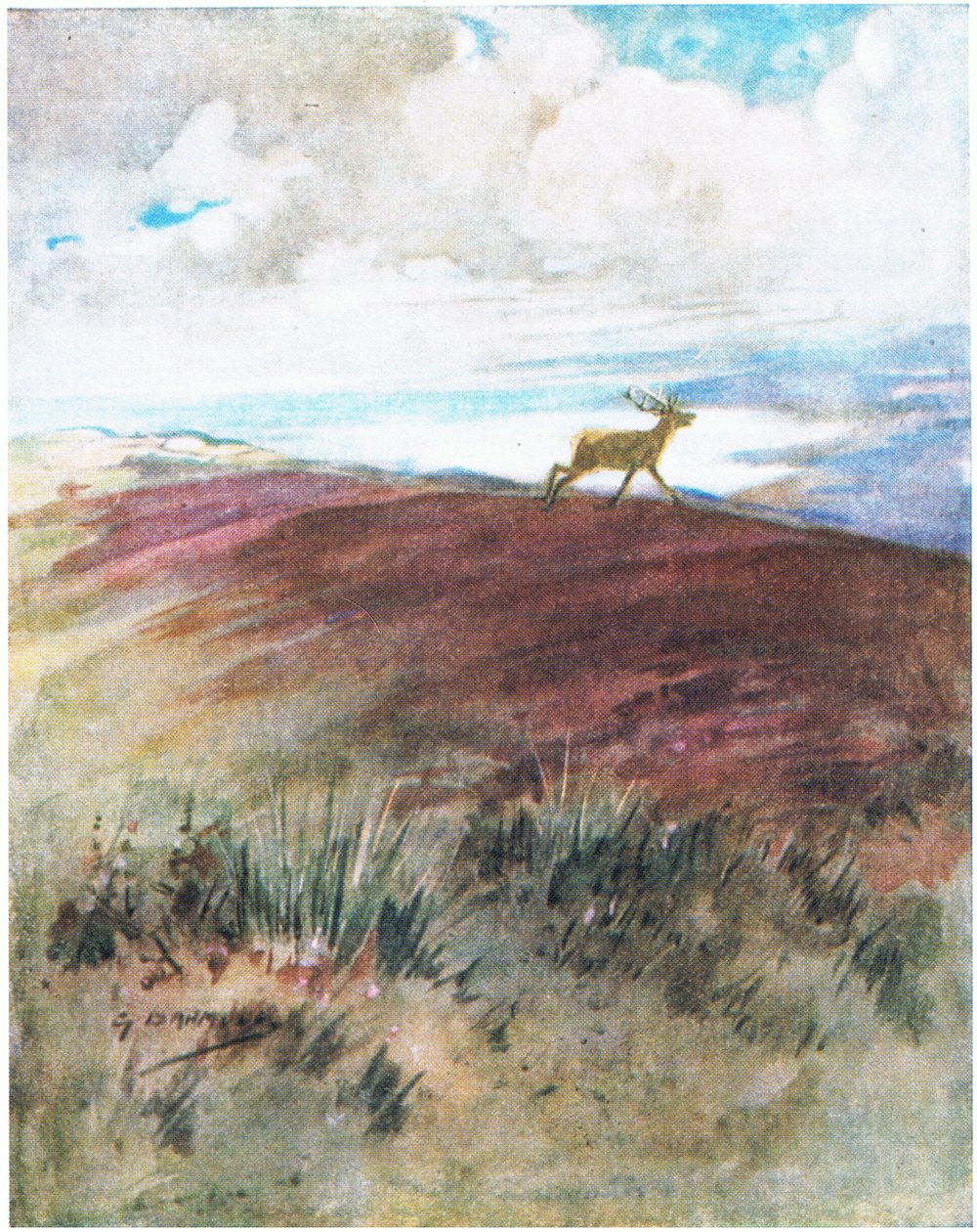 O ar estava próximo e pesado quando ele desceu a galope do cume (lito colorido) de George Denholm Armour