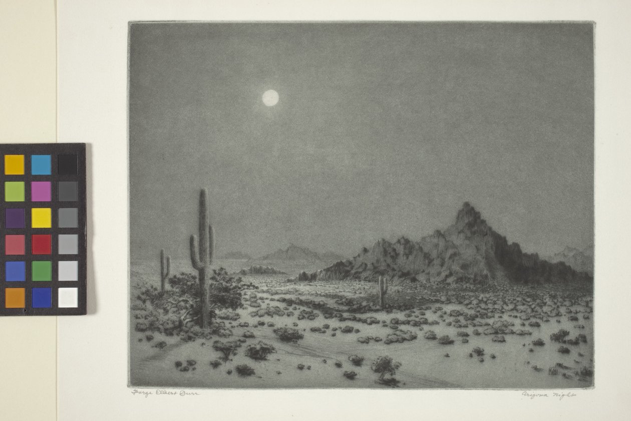 Noite do Arizona de George Elbert Burr
