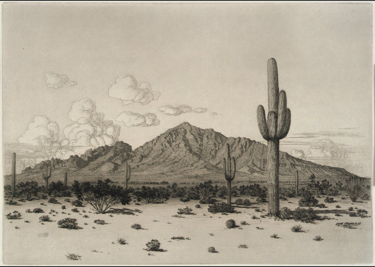 Montanha Camelback, Phoenix de George Elbert Burr