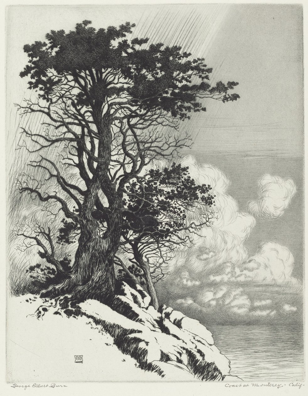 Costa em Monterey, Califórnia de George Elbert Burr