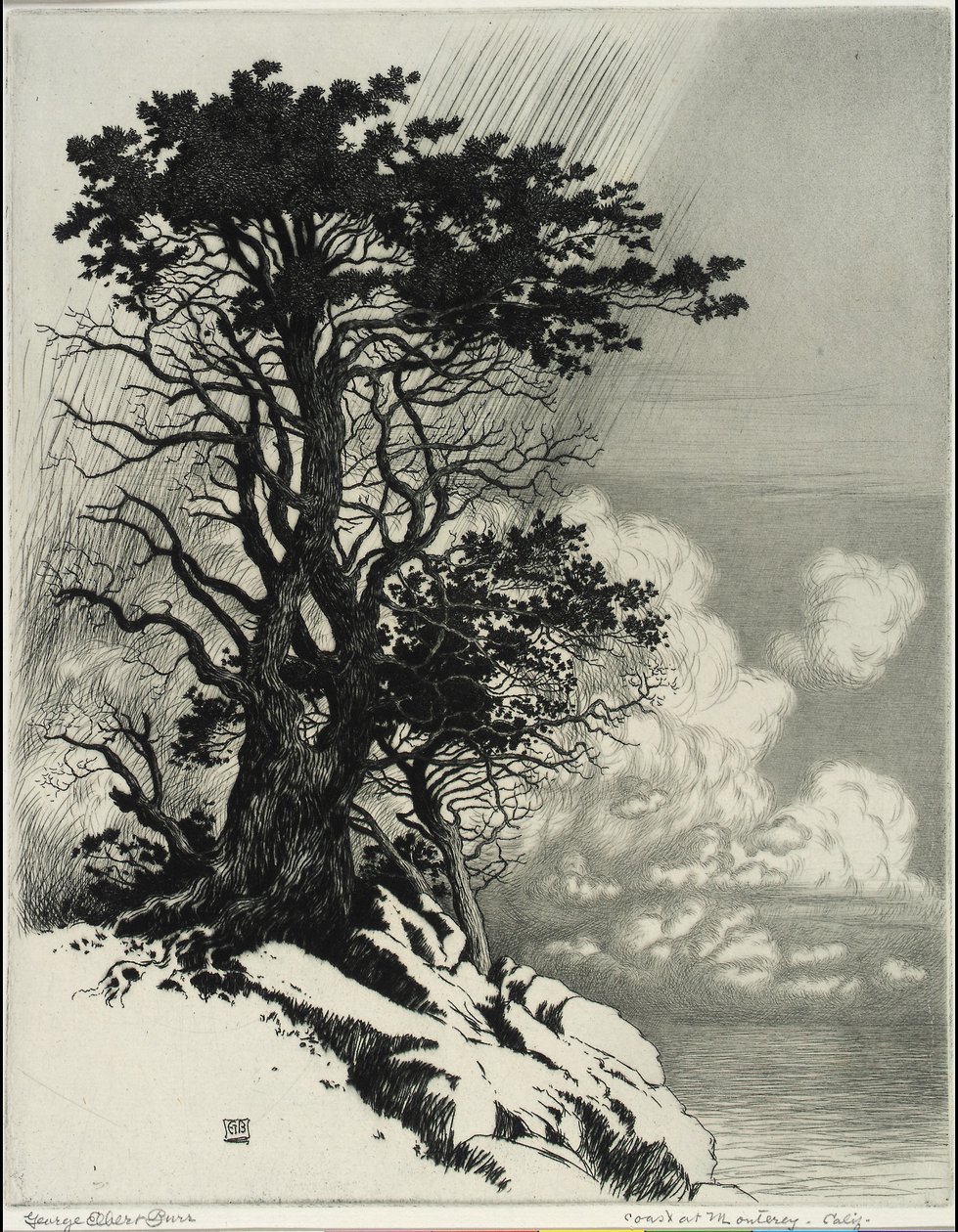 Costa em Monterey, Califórnia de George Elbert Burr