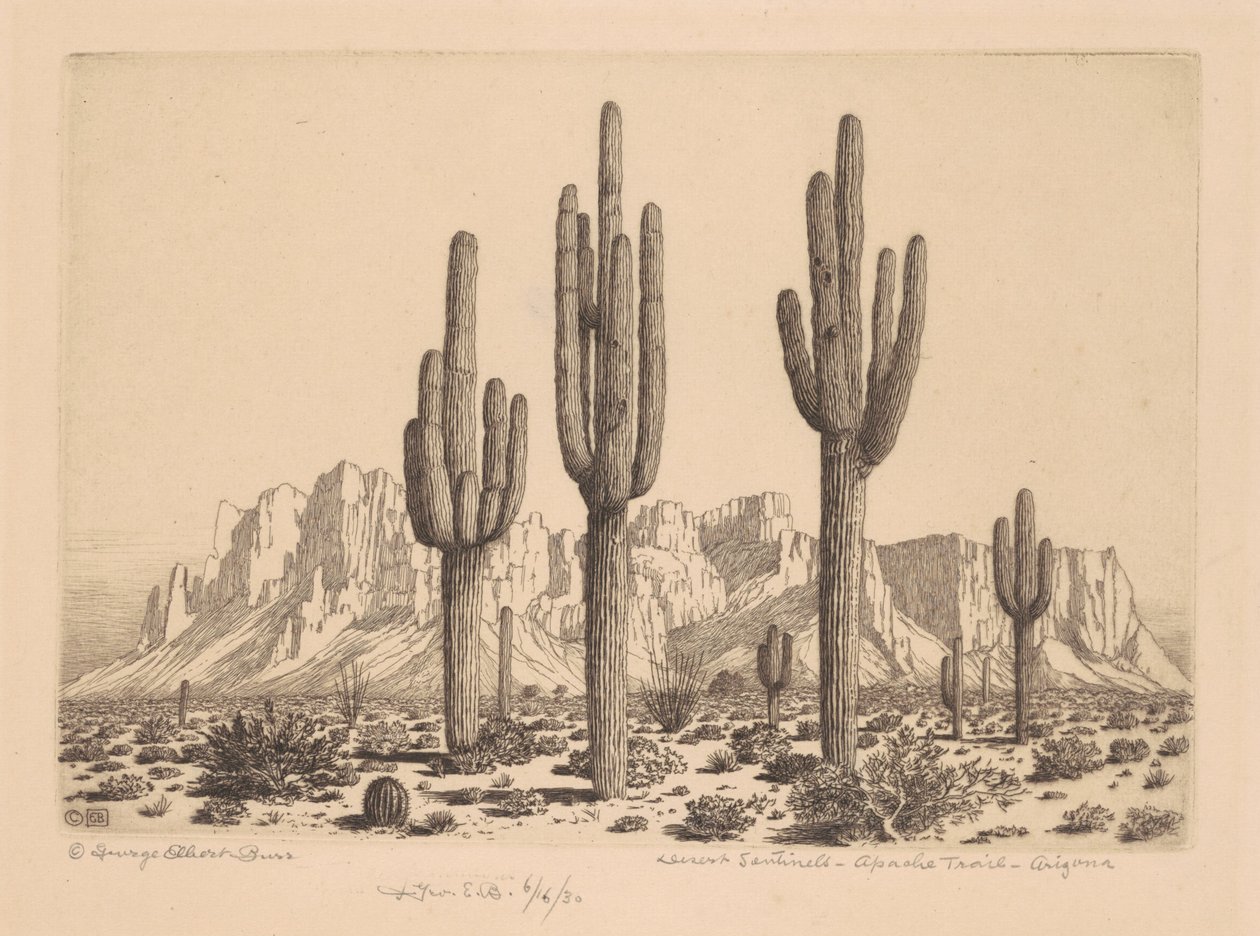 Sentinelas do Deserto, Apache Trail, Arizona de George Elbert Burr