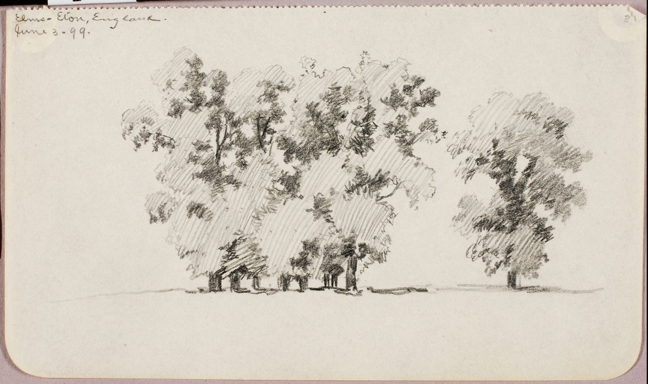 Elms--Eton, Inglaterra de George Elbert Burr