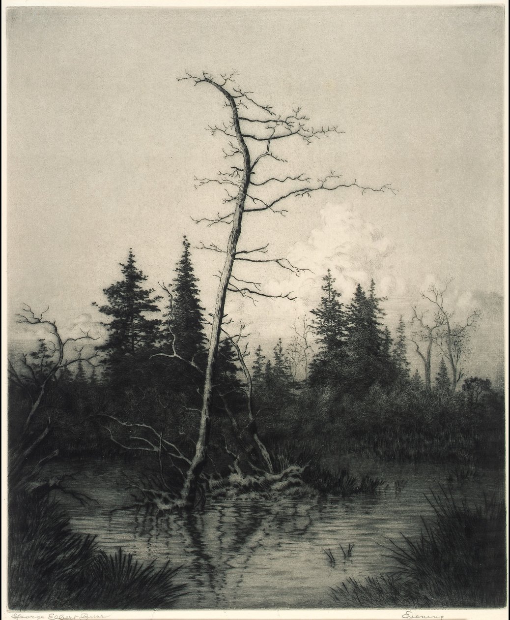 Noite de George Elbert Burr