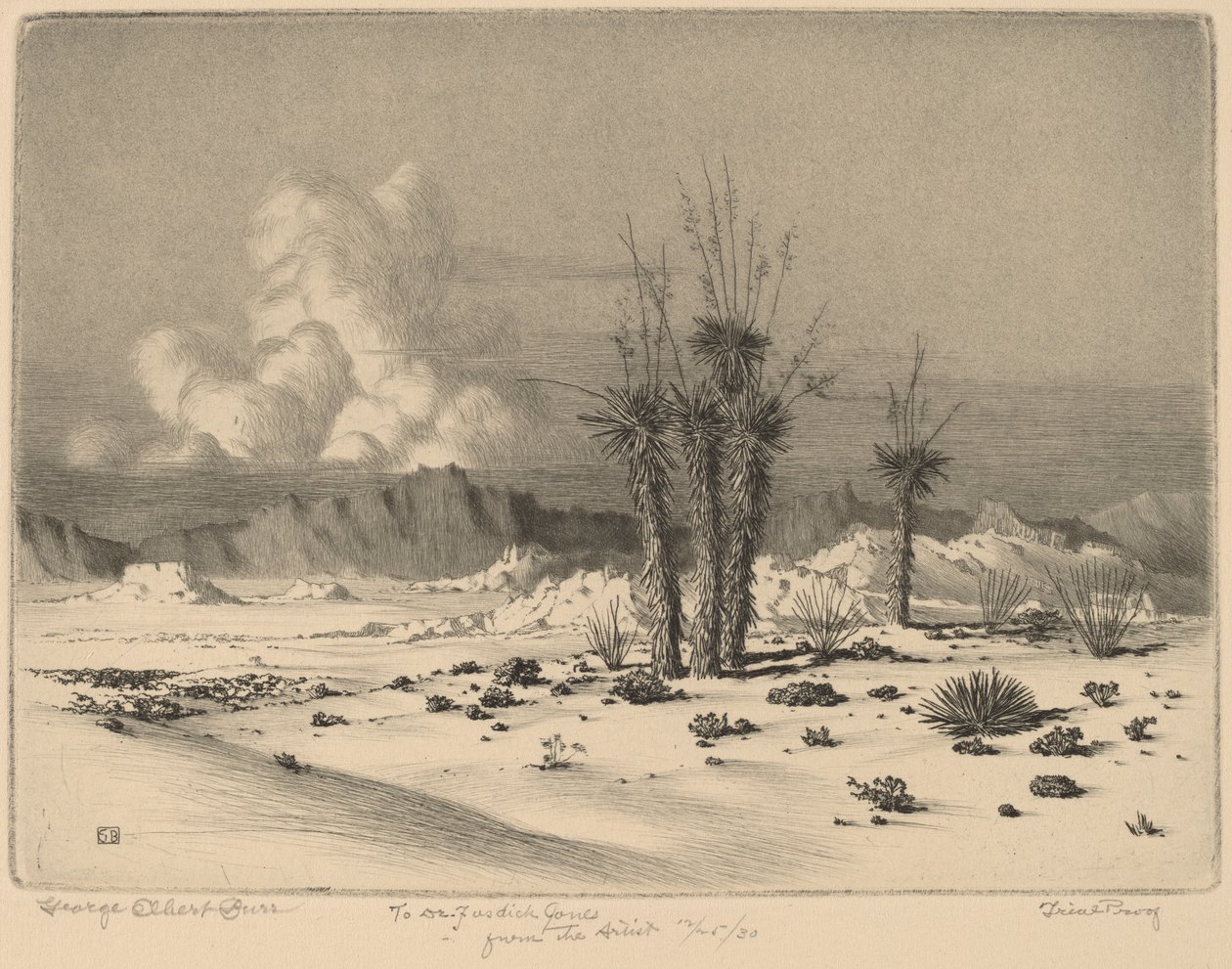 Noite, Arizona de George Elbert Burr