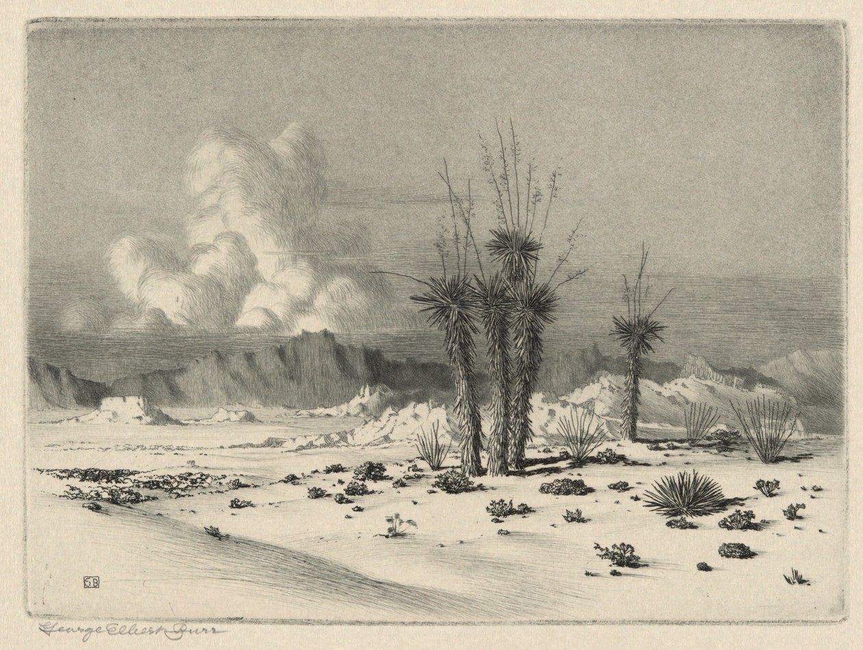 Noite, Arizona de George Elbert Burr