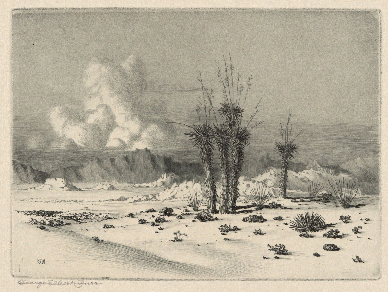 Entardecer, Arizona de George Elbert Burr