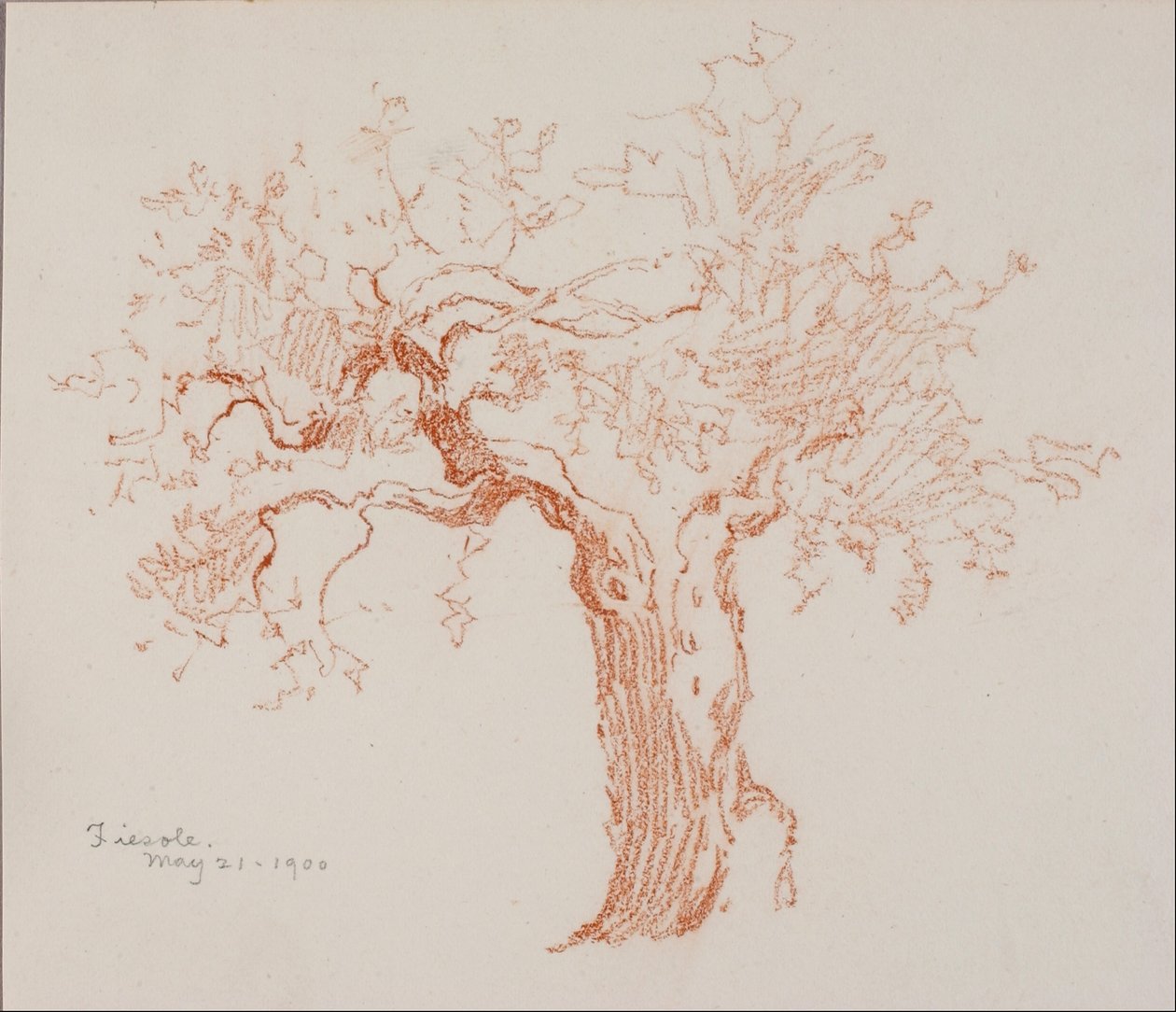 Fiesole de George Elbert Burr
