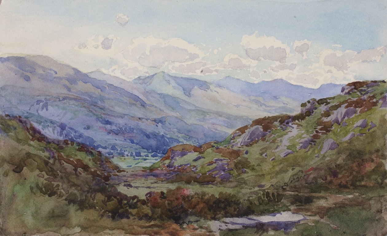 De cima Pont-y-Pant, 1899. de George Elbert Burr