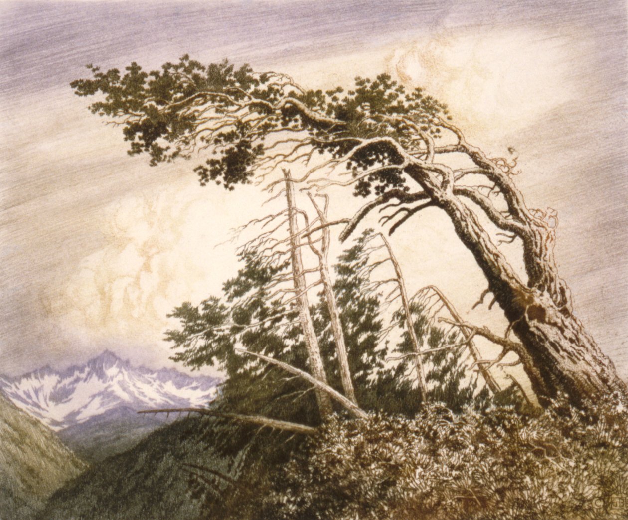 Casa dos Ventos [No. 2] de George Elbert Burr