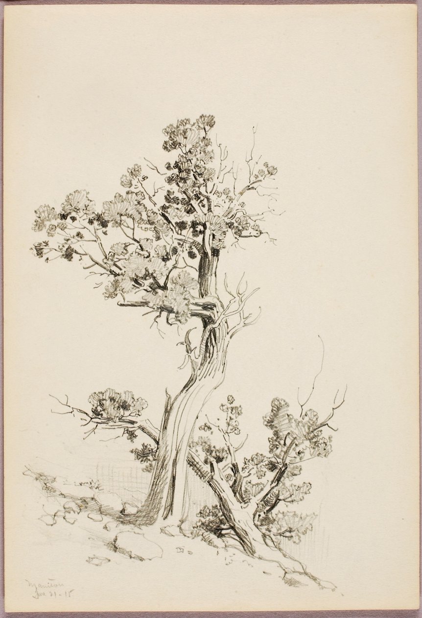 Manitou de George Elbert Burr