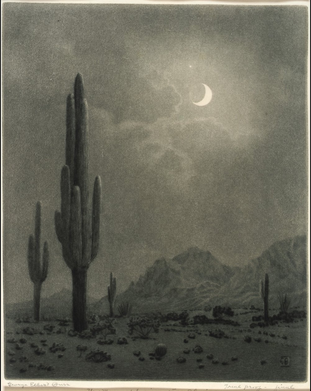 Lua Nova e Estrela da Tarde, Phoenix de George Elbert Burr