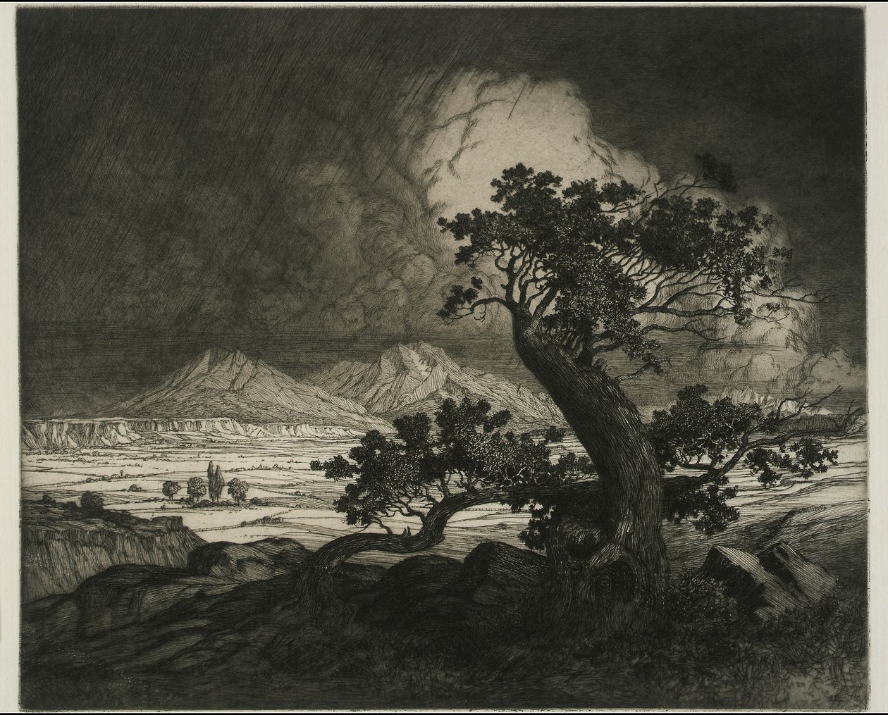 Old Cedars e Spanish Peaks de George Elbert Burr