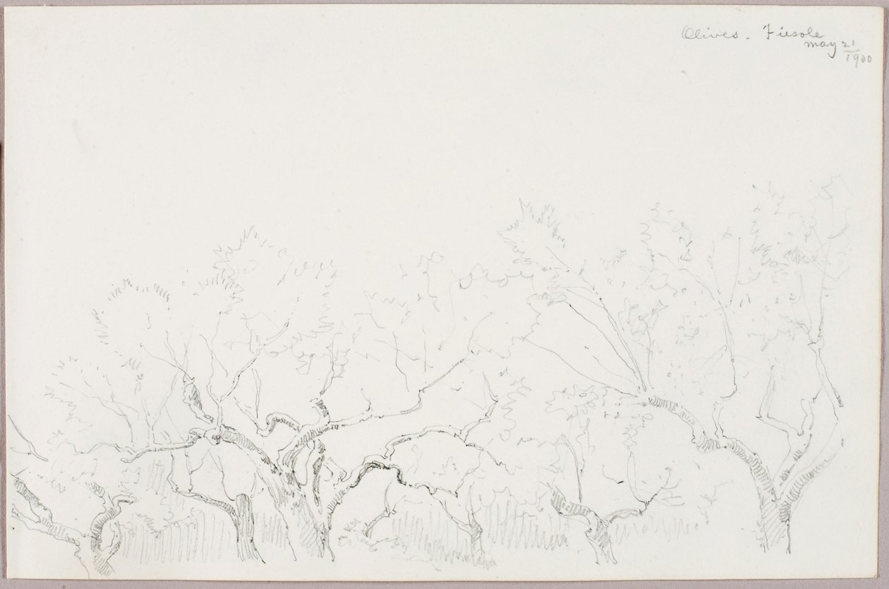 Azeitonas--Fiesole de George Elbert Burr