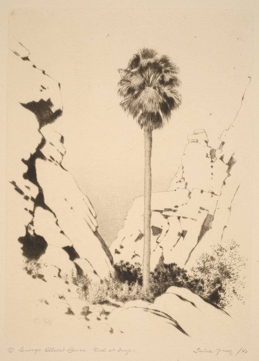 Palm Canyon (n.º 1) de George Elbert Burr