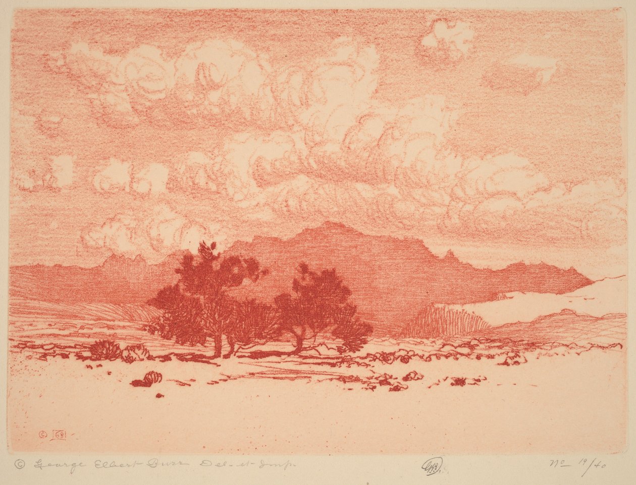 Árvores palo verde de George Elbert Burr