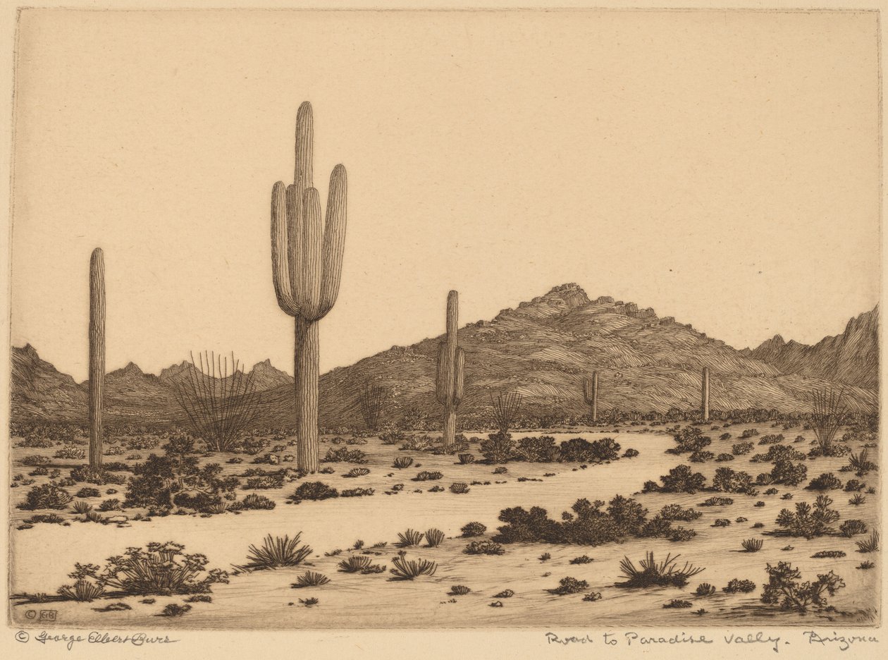 Estrada para Paradise Valley, Arizona de George Elbert Burr