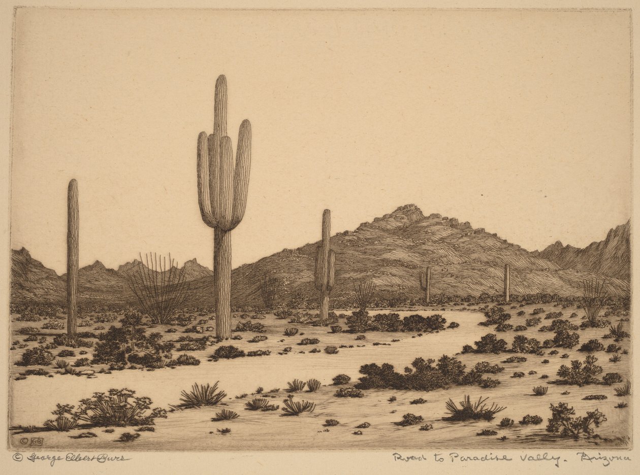 Estrada para Paradise Valley, Arizona de George Elbert Burr