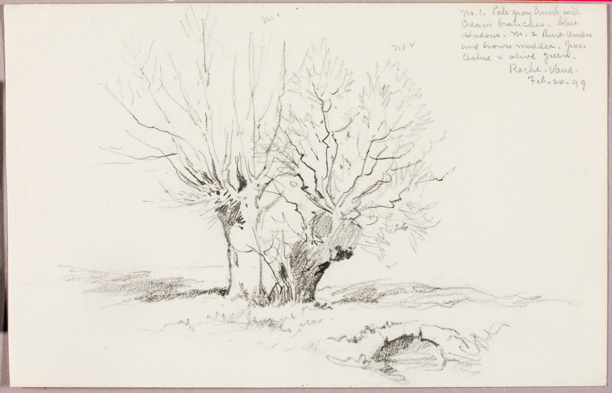 Roche Vaud de George Elbert Burr
