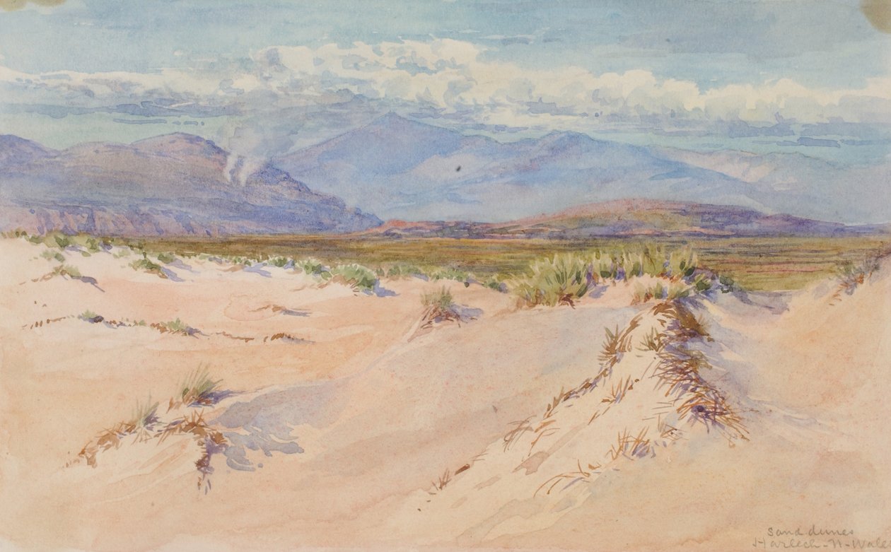 Sand Dunes, Harlech, North Wales, 1899. de George Elbert Burr