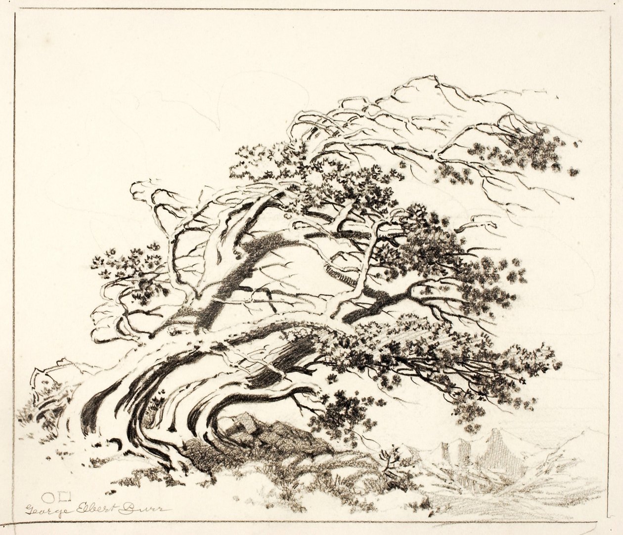 Esboço para Pines in Wind, Estes Park de George Elbert Burr